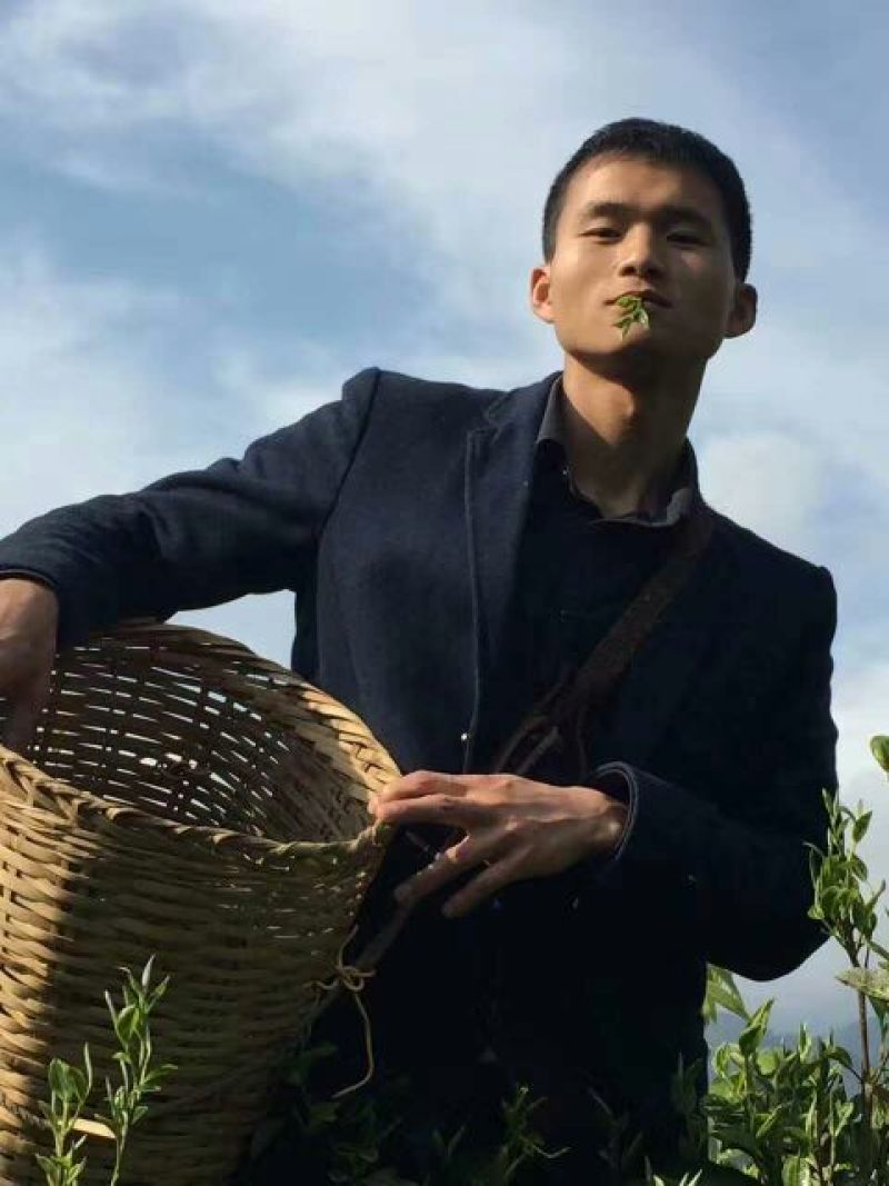 普洱茶一级