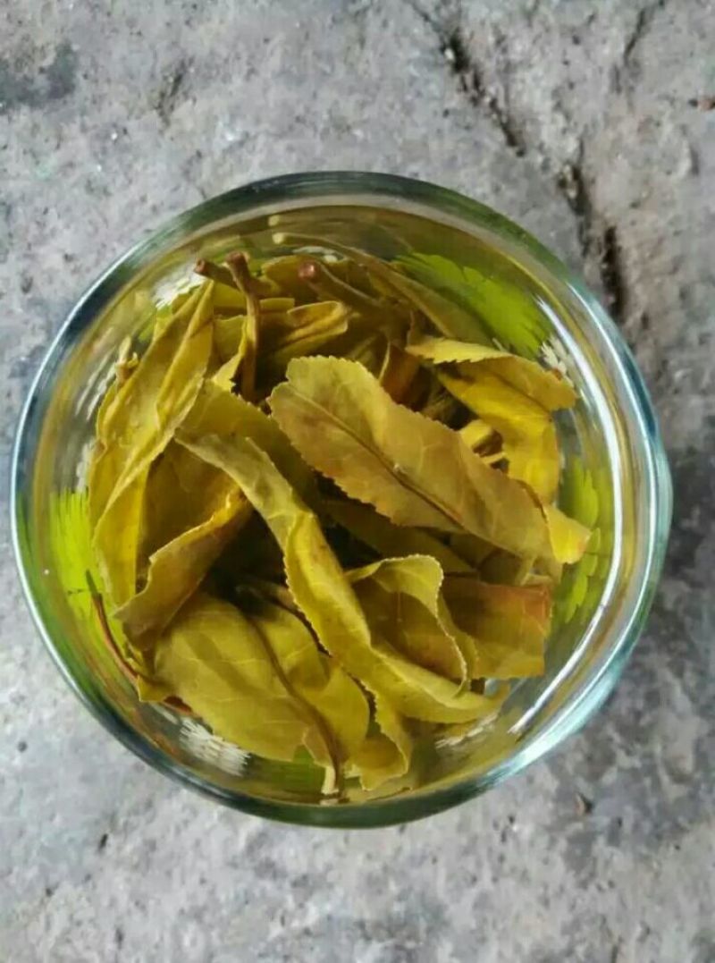 普洱茶一级