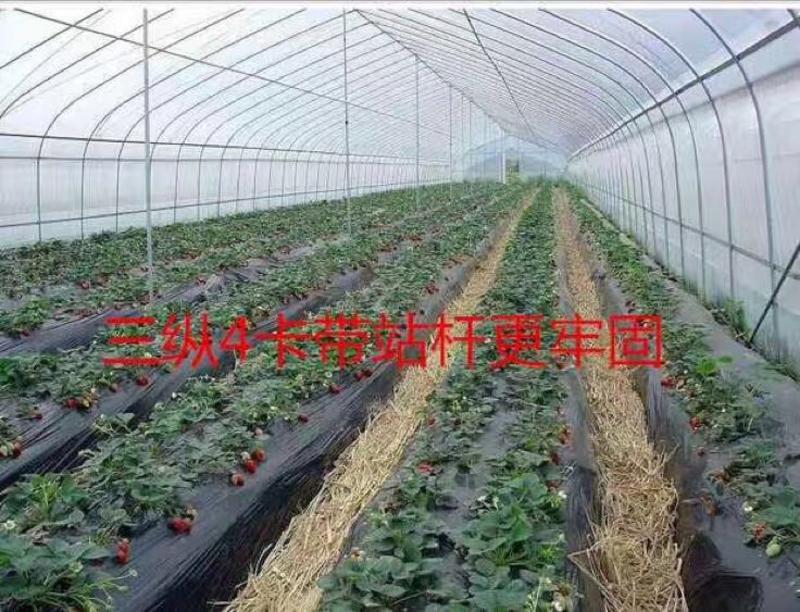 【蔬菜大棚】江苏厂家直供质量保证技术过硬配件齐全