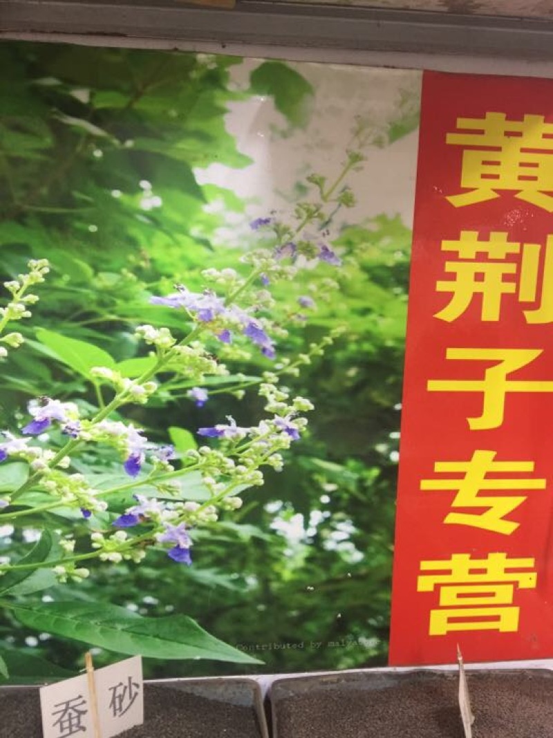 黄荆子去皮过风干净