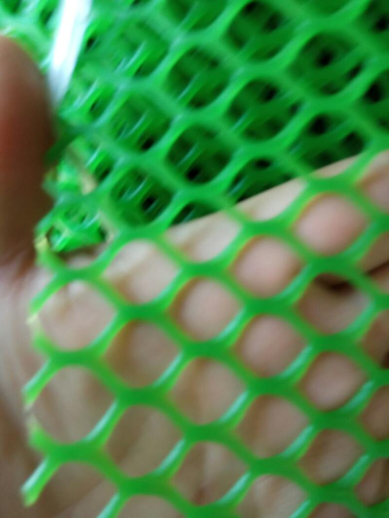 养殖网育雏网漏粪网孔08--2.5厘米，高度2米