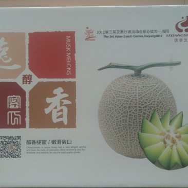 网纹瓜鲁厚甜一号网纹瓜