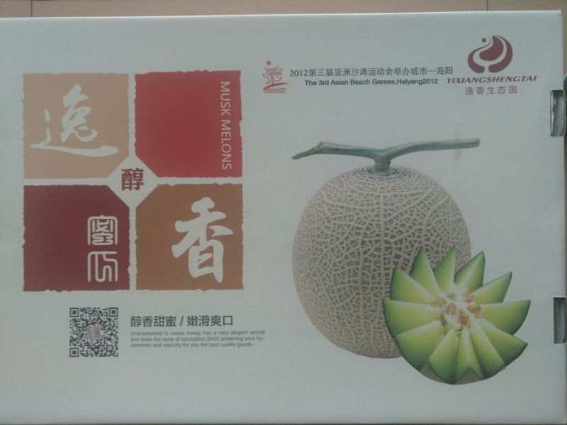 网纹瓜鲁厚甜一号网纹瓜