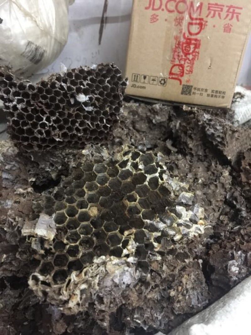 马蜂窝