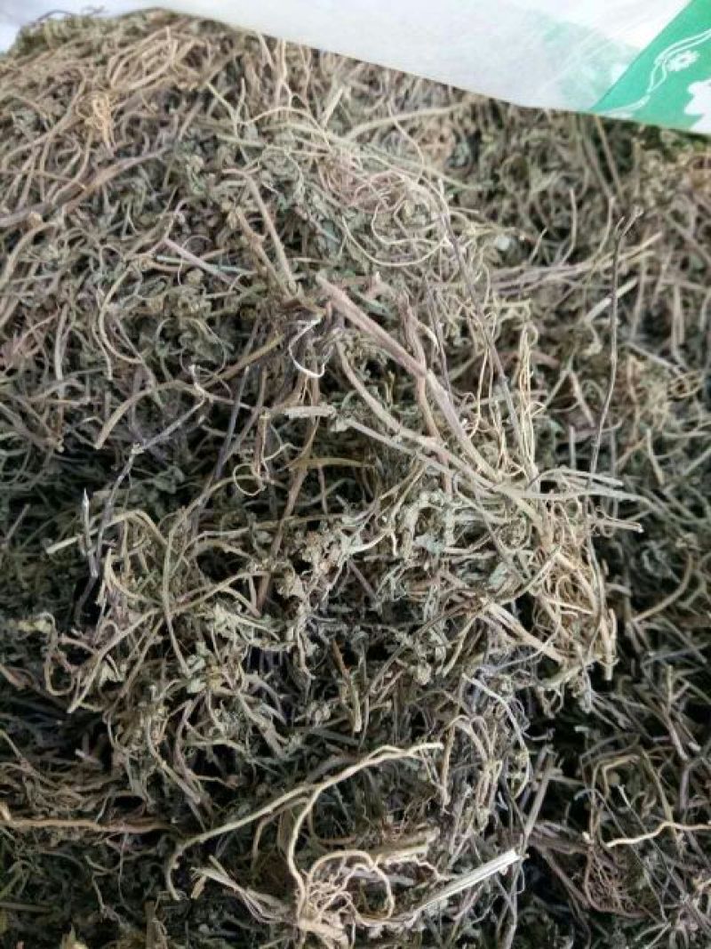 鹅不食草河南干货量大从优欢迎选购