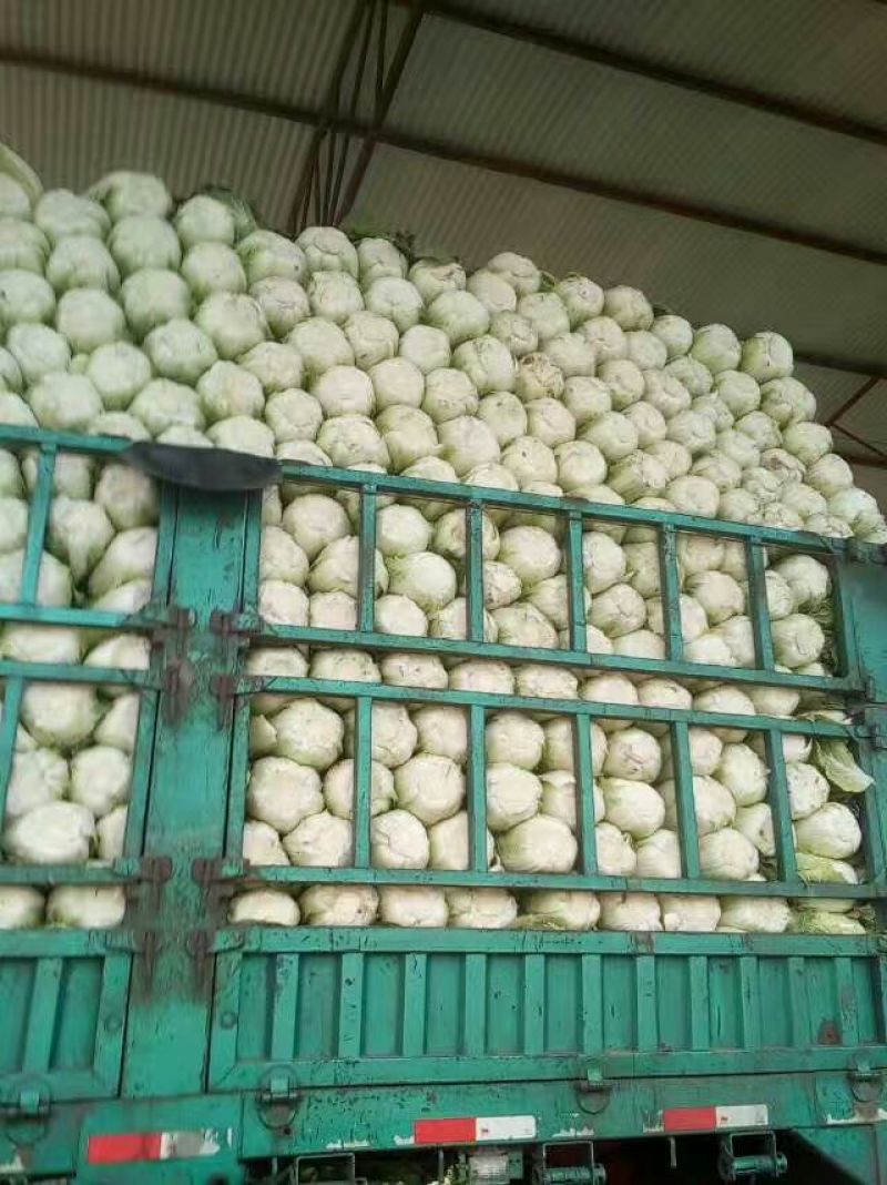 北京新三号