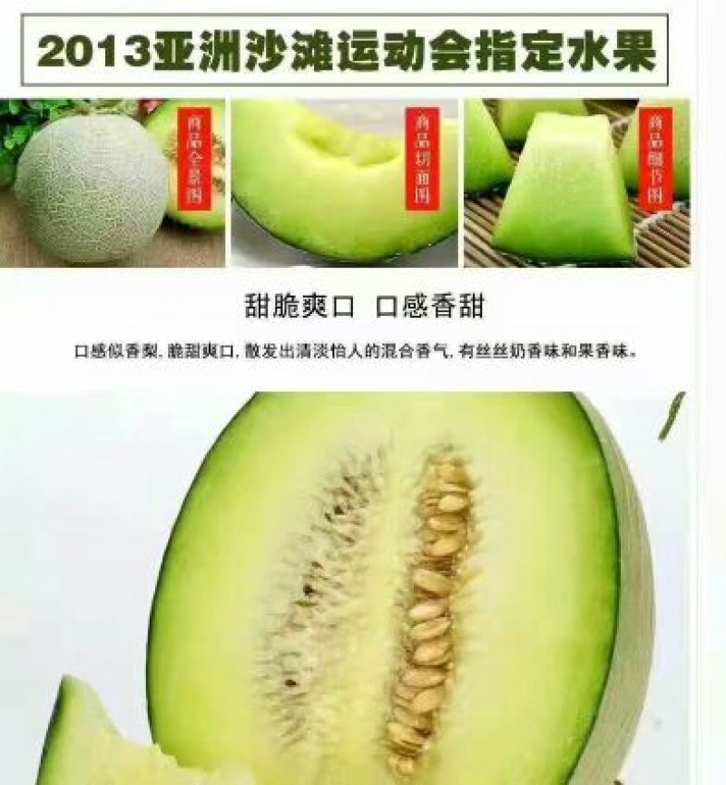 网纹瓜2斤以上椭圆形