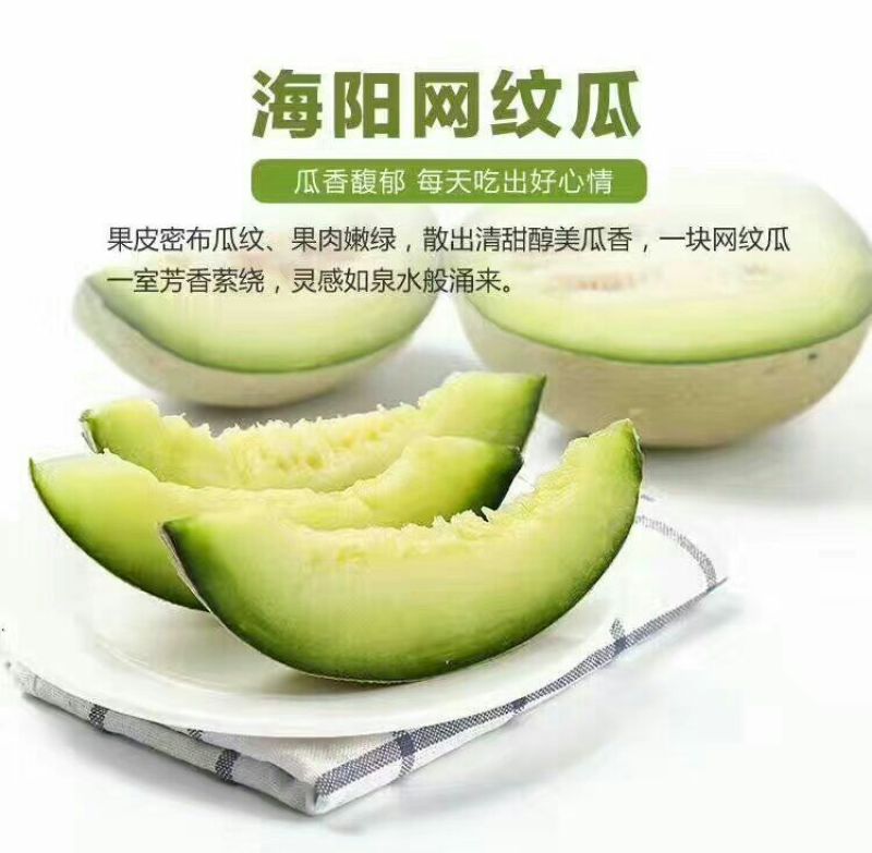 网纹瓜2斤以上椭圆形