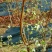蓝莓鲜果12~14mm以上