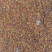 油菜籽