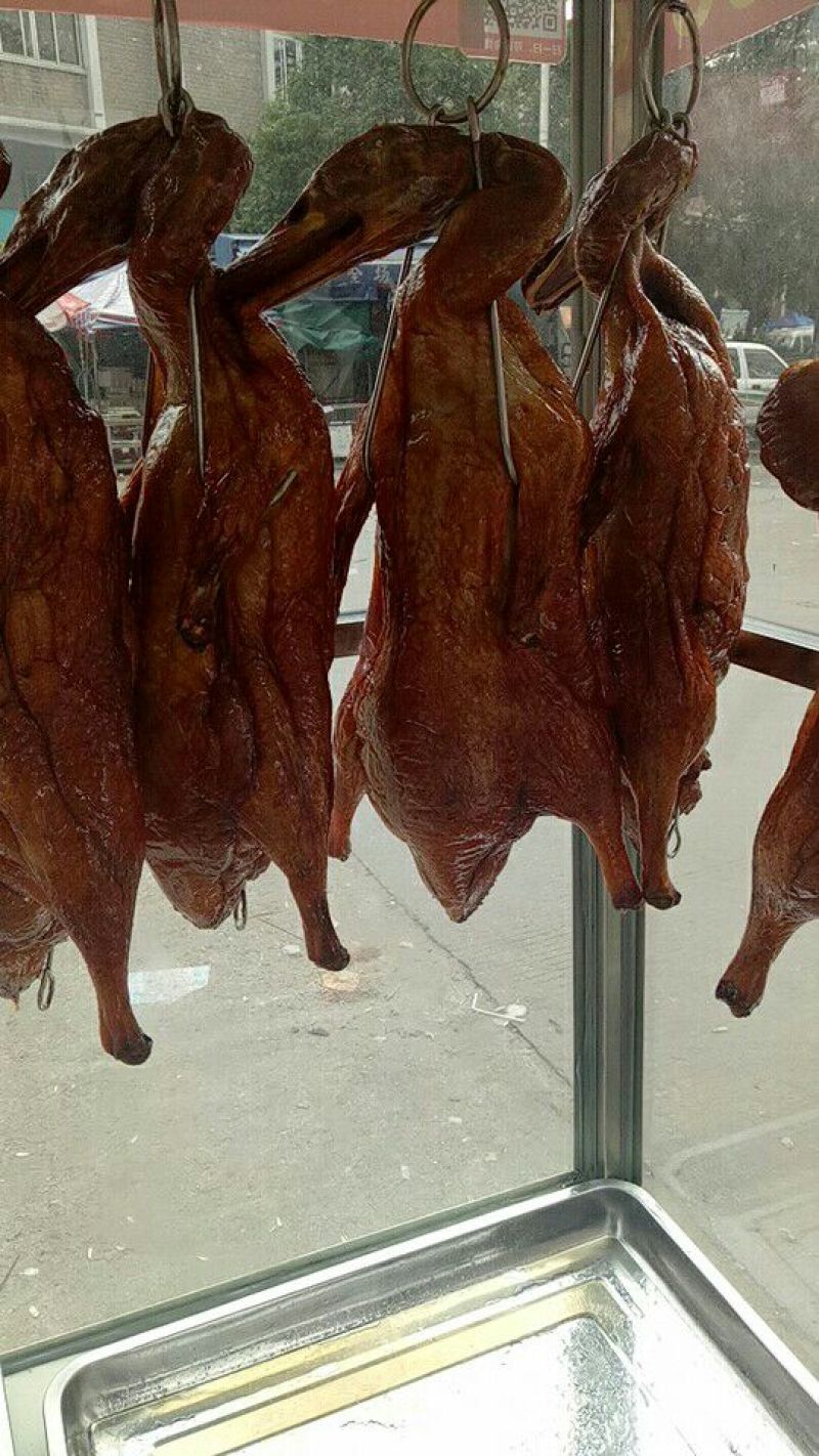 白条鸭