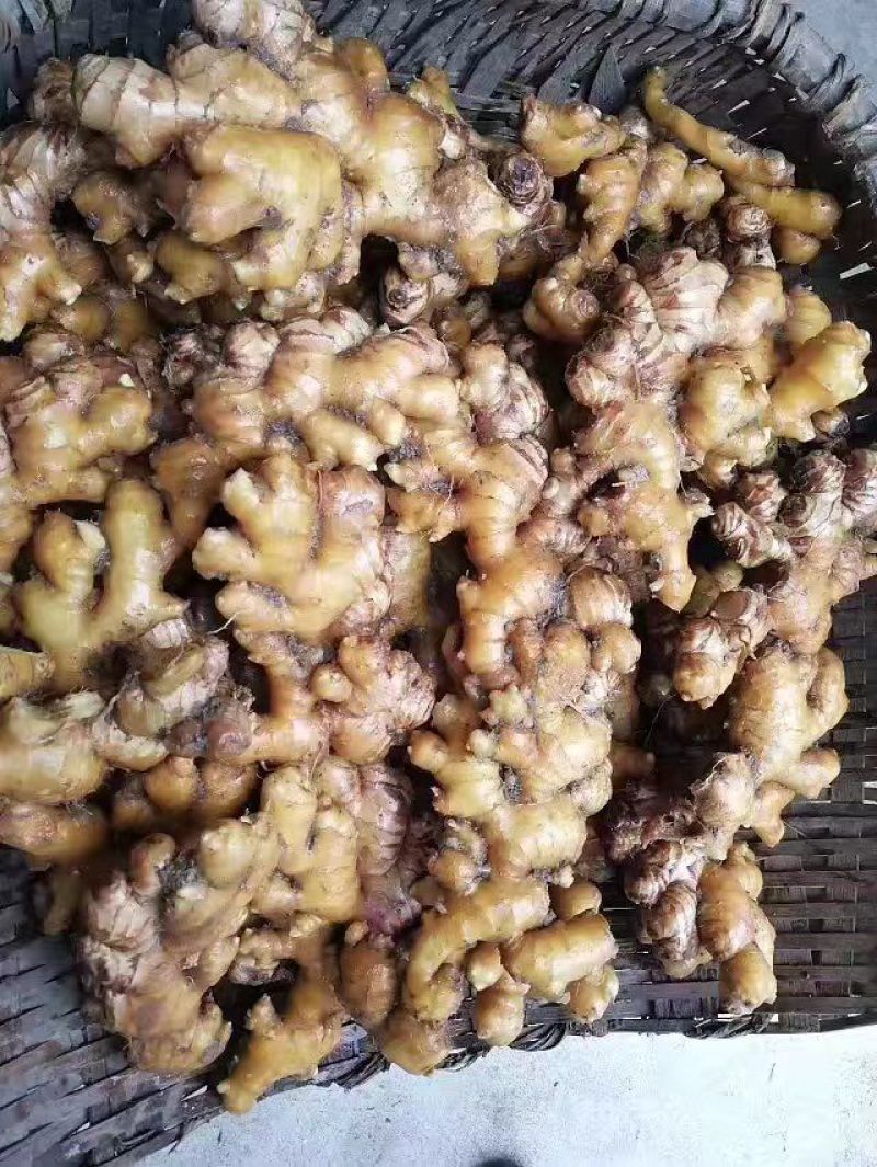 姜粉