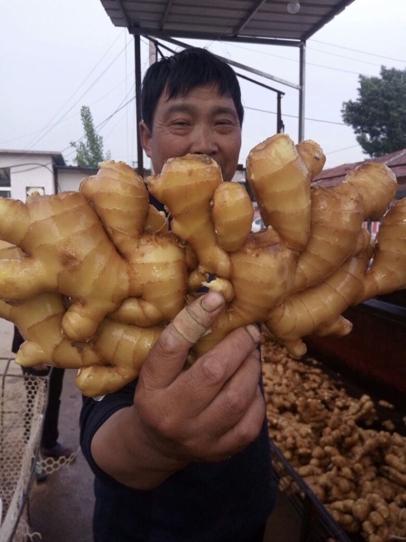 姜片