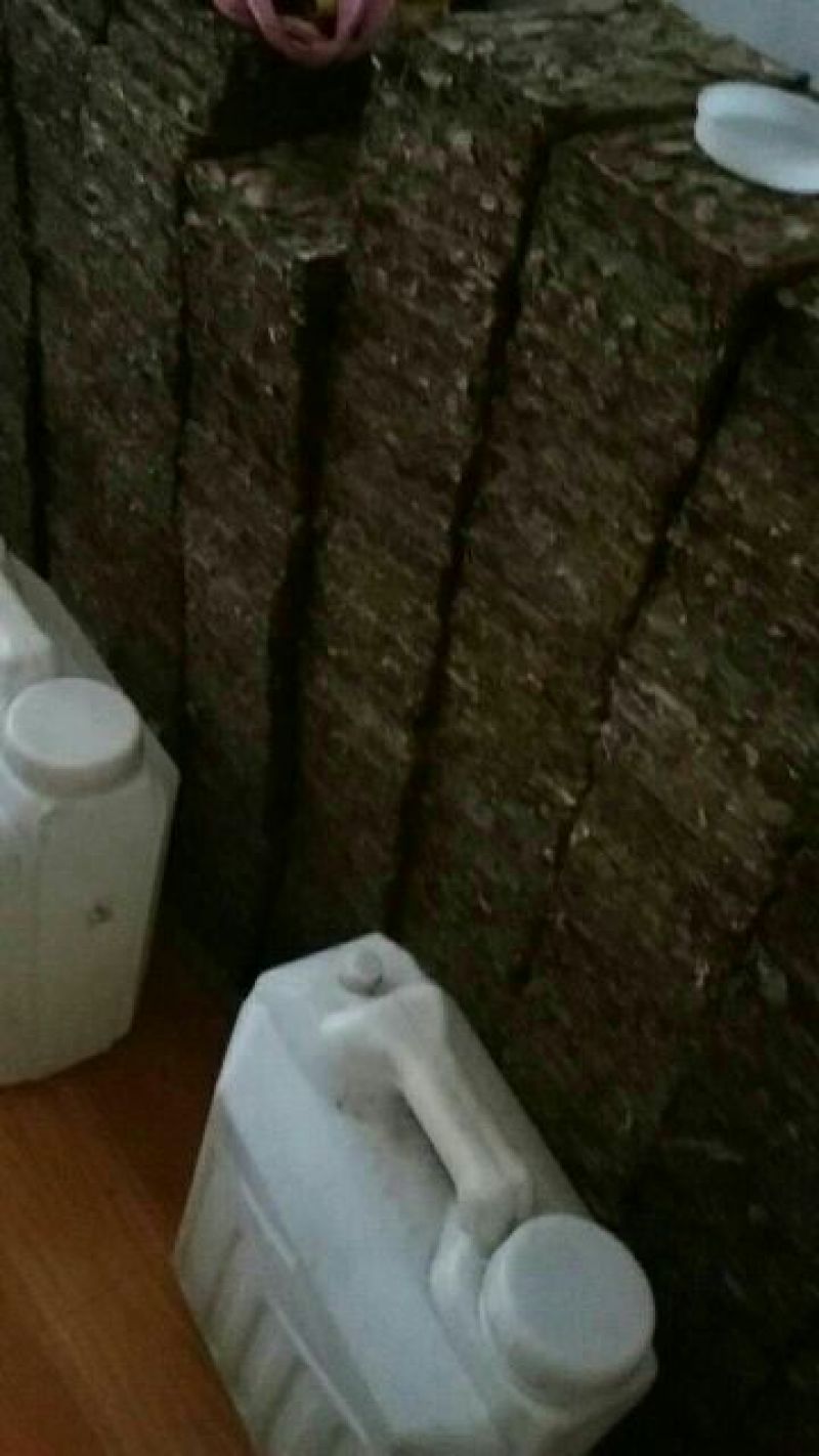 老树茶一级