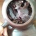 老树茶一级