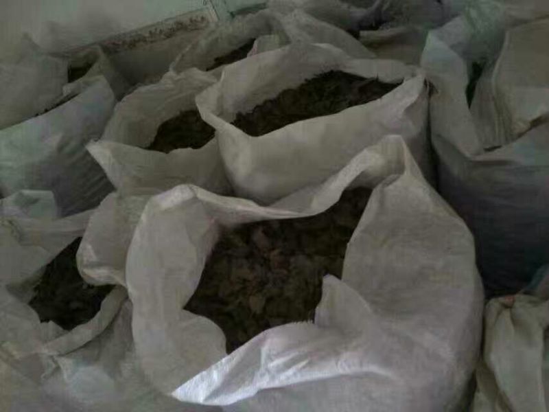老树茶一级