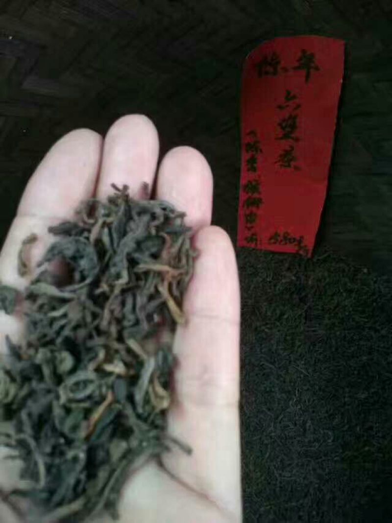 老树茶特级