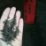 老树茶特级