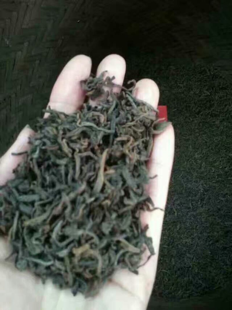 老树茶特级