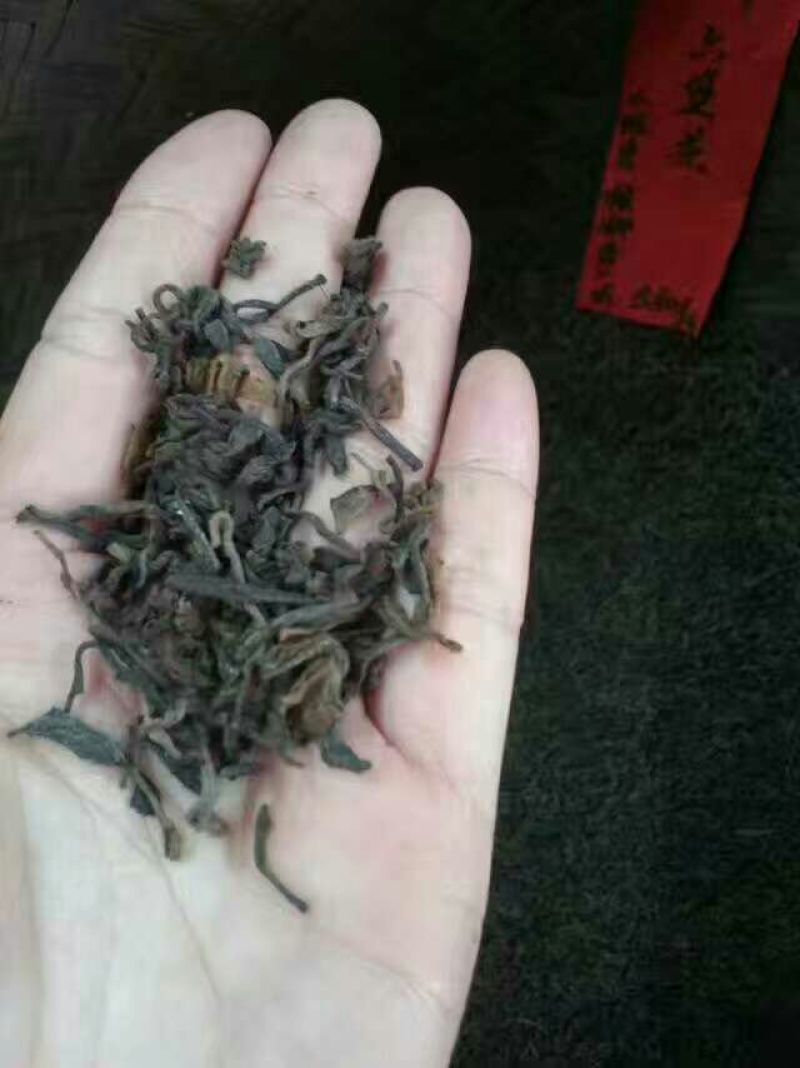 老树茶特级
