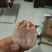 柿饼1~2两