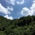 土蜂蜜1斤