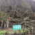 土蜂蜜1斤