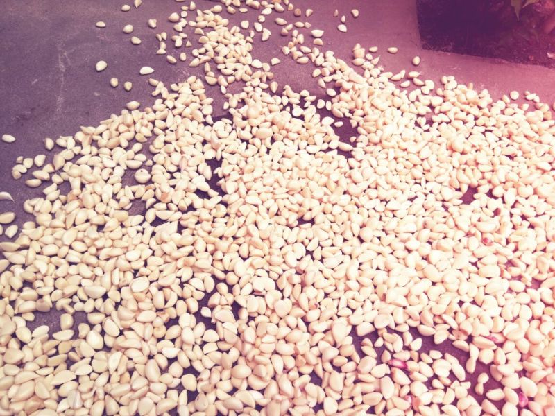 蒜米袋装蒜米袋装蒜米