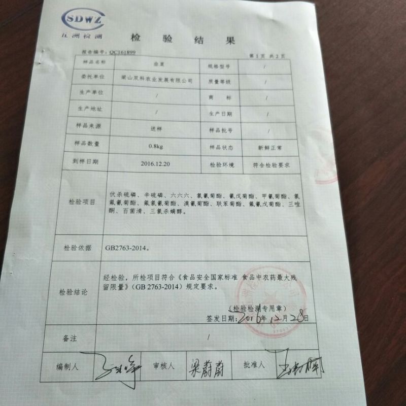 韮苔30cm以上