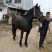 矮马100~200kg