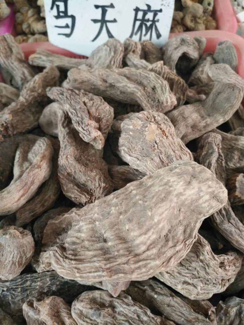 野生天麻，云南昭通仿野生种植