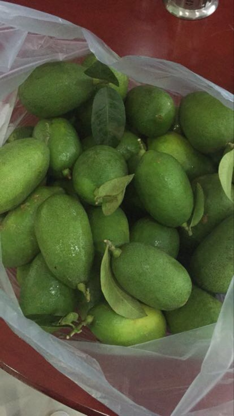 香水柠檬树苗
