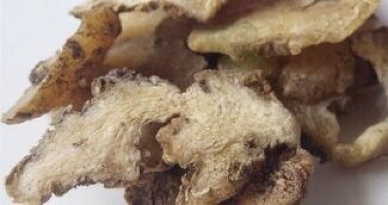 黄精