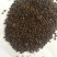 纯新棉芪黄芪籽，干净无杂志，一手货质量有保证，欢迎选购