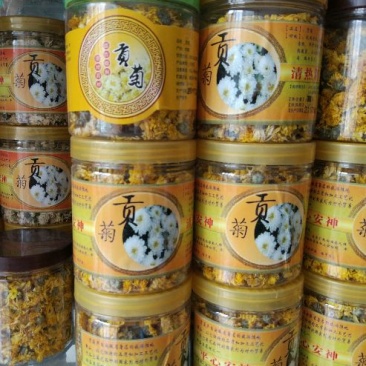 菊花茶特级