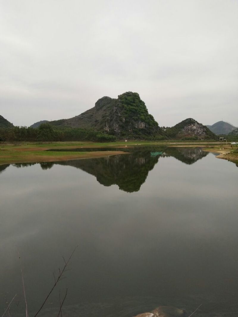 土鲶鱼食用