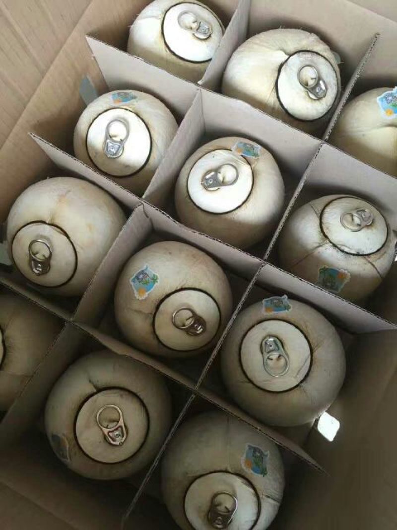文昌椰白好做文昌鸡的好材料