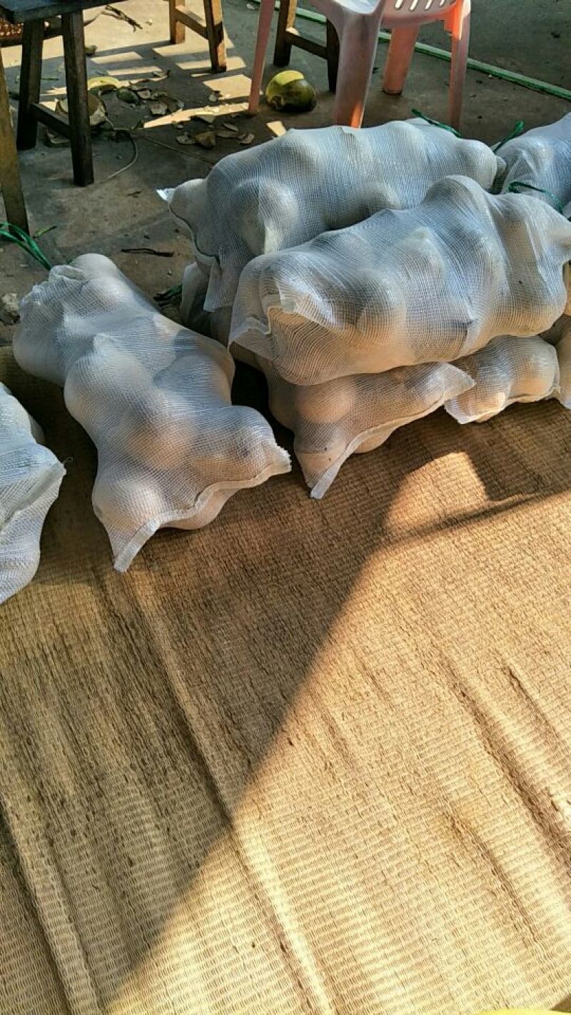 文昌椰白好做文昌鸡的好材料