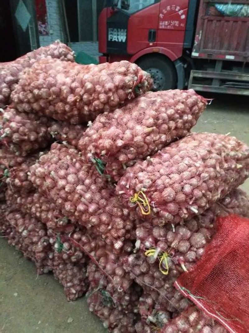 大蒜4.5cm鲜蒜