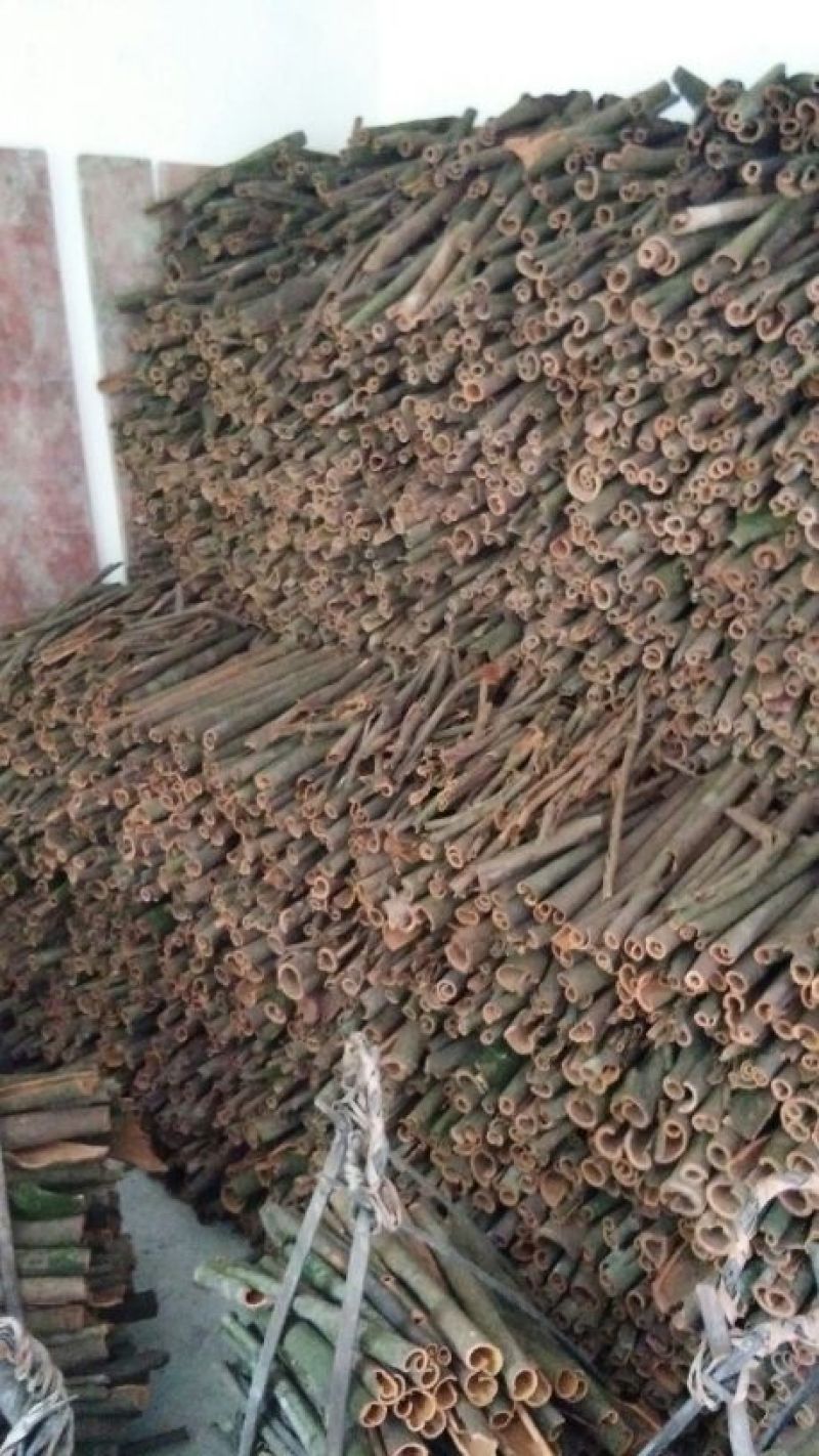 桂皮散装统货
