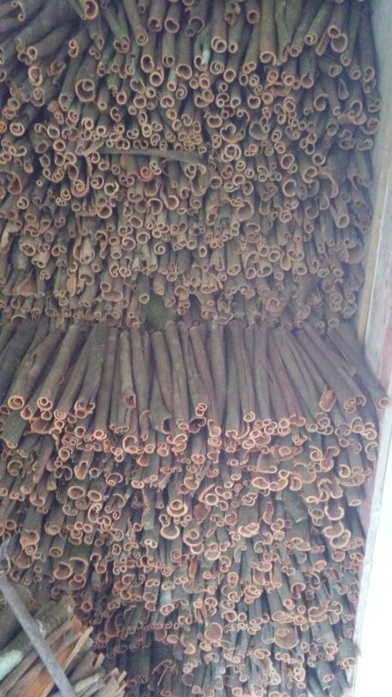 桂皮散装统货