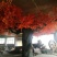 仿真大叶棕竹