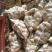 土豆精品4两以上