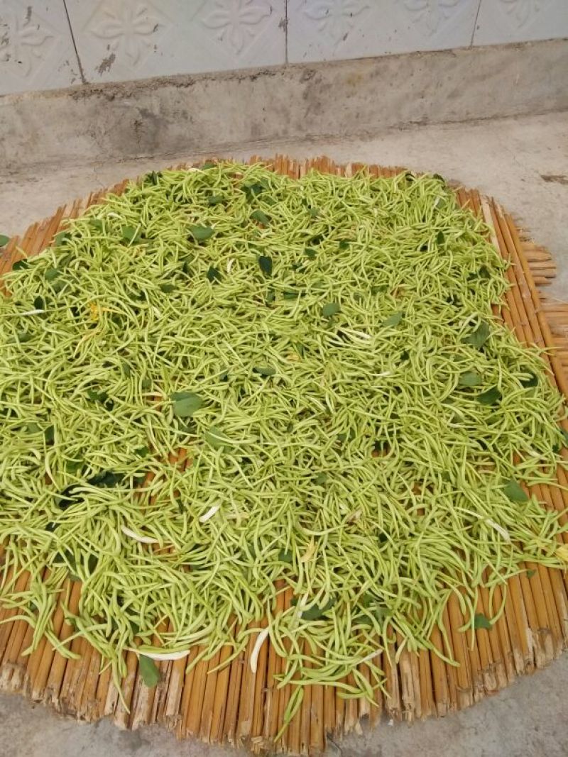 金银花统花