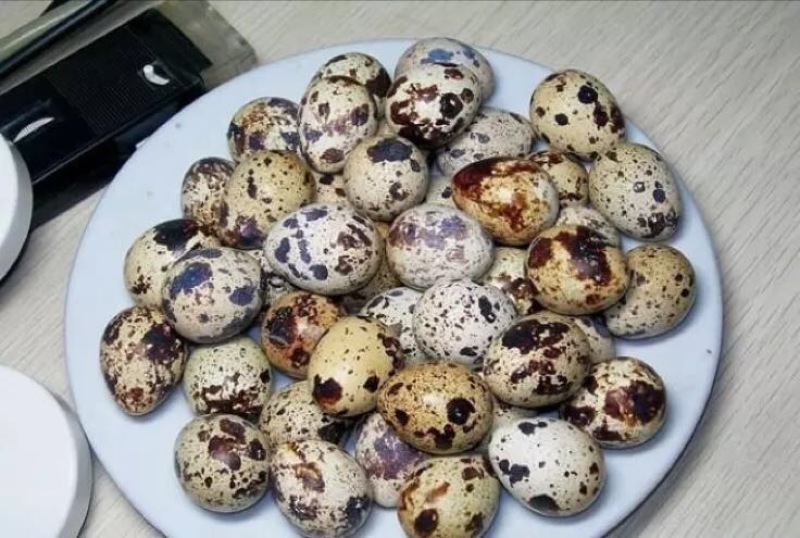 土鹌鹑蛋