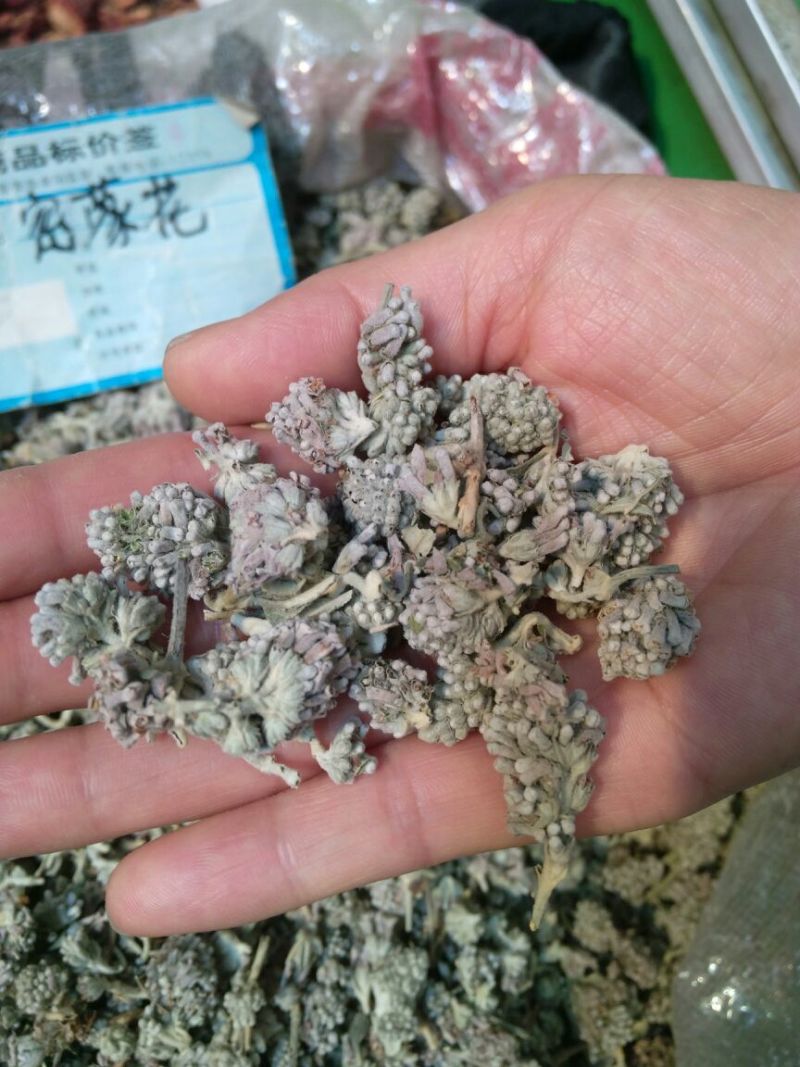 密蒙花四川干货人工种植量大从优欢迎选购