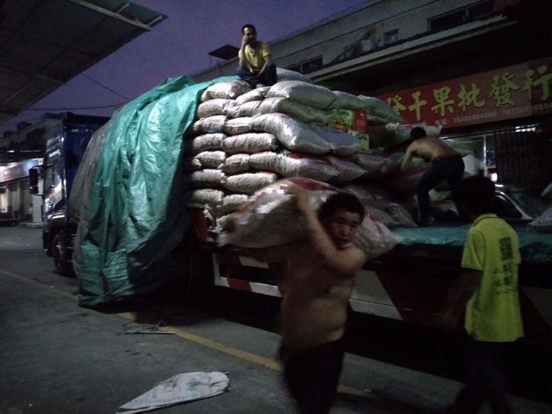 新疆核桃去皮干