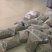 海南白胡椒粒500g农家特产一级白胡椒粉现磨批发代加工