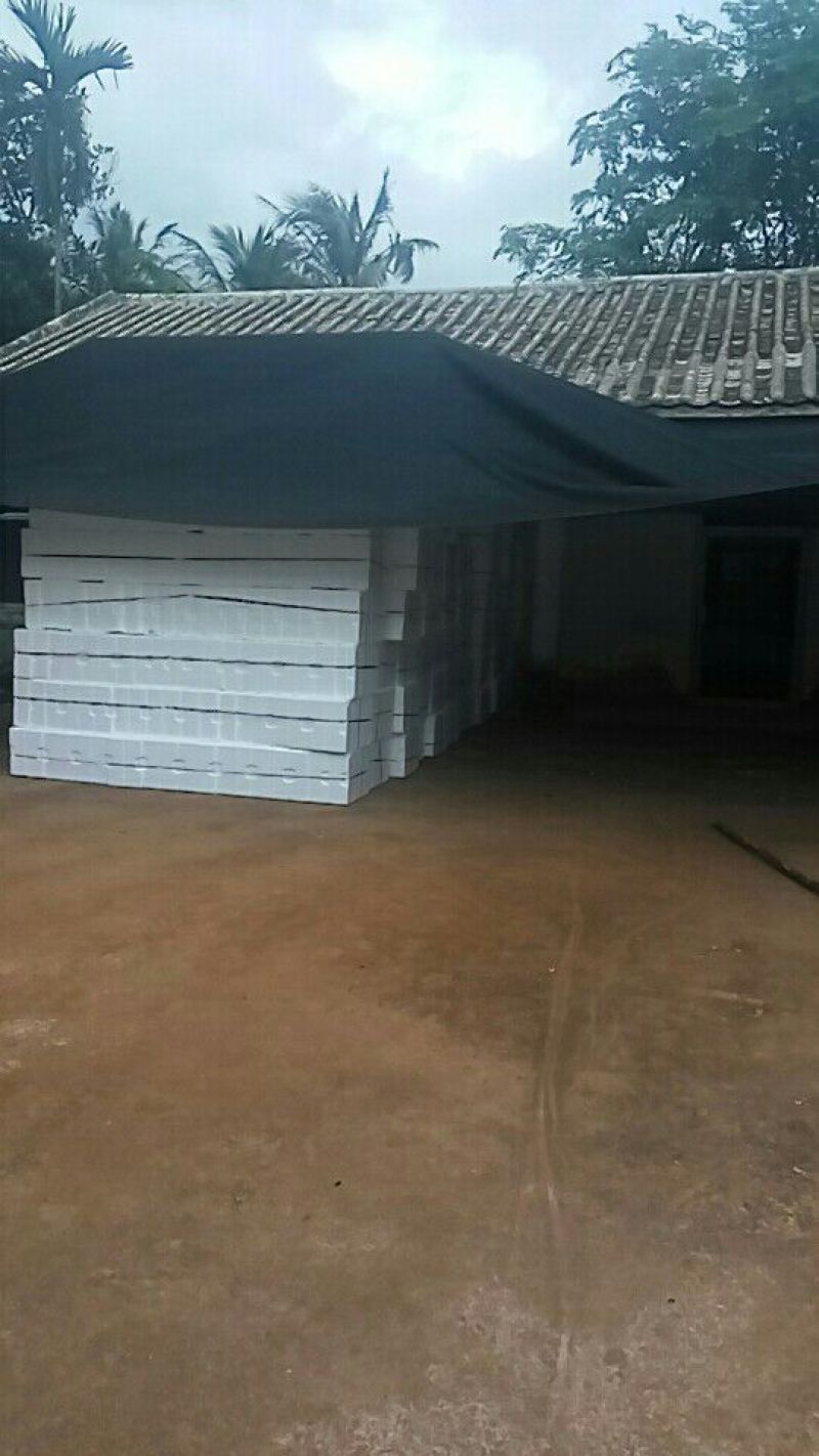 海南荔枝妃子笑2cm以上，欢迎电商，商超咨