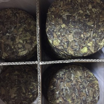福鼎白茶